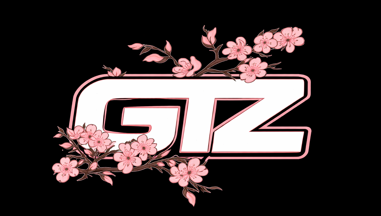 GTZ HATS